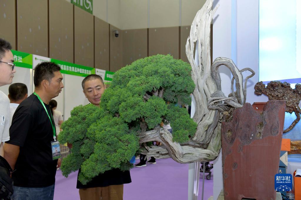 乐游棋牌真的假的